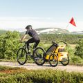Thule Chariot Sport double bike trailer yellow 10201024 7