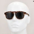 Bliz Ace S3 matt demi brown/smoke sunglasses 14