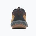Men's trekking boots Merrell Forestbound tan 10