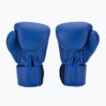 Boxing gloves Twins Special BGVS3 blue 3