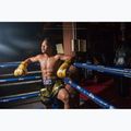 Fairtex Universal "Tight-Fit" Design Falcon gold boxing gloves 3
