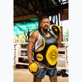 Fairtex Speed & Accuracy Focus Mitts black/golden training paws 6