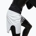 Fairtex Boxing BT2003 'Monochrome' white/black boxing shorts 5
