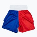 Fairtex Boxing Trunks BT2001 'Philippines' red/white/blue boxing shorts 2