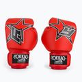 Boxing gloves YOKKAO Institution Boxing red 2