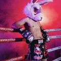 Men's training shorts YOKKAO Angry Rabbit Muay Thai black 7