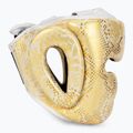 Top King Super Star white/gold boxing helmet 2