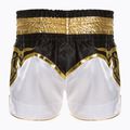 Training shorts Top King Kickboxing multicolour 2