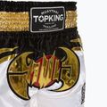 Training shorts Top King Kickboxing multicolour 3