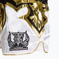 Training shorts Top King Kickboxing multicolour 4