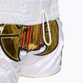 Training shorts Top King Kickboxing multicolour 5