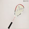 Squash racket VICTOR IP 8 N 9