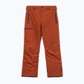 Men's snowboard trousers Volcom L Gore-Tex Pant Burnt Orange 10