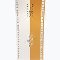 Snowboard RIDE ZERO gold 12F0027.1.1 4
