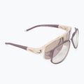 Sunglasses Nike Flyfree Infinity matte sanddrift /road tint/clear