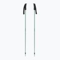 Atomic Cloud pistachio ski poles