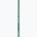 Atomic Cloud pistachio ski poles 4
