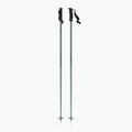 Atomic Cloud pistachio ski poles