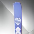 Women's alpine skis Black Crows Octo Birdie W light blue 5