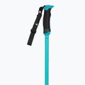 Ski poles Atomic Redster Q SQS teal tension 2