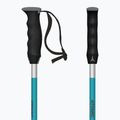 Ski poles Atomic Redster teal tension 3