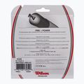 Wilson NXT Power 17 tennis string 12.2m white WRZ941700+ 2