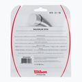 Wilson Revolve 16 tennis string 12.2m black WRZ946800+ 2