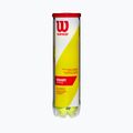 Wilson Champ Xd Tball tennis balls 4 pcs yellow WRT110000 2