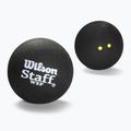 Wilson Staff Ball Double Yellow Dot squash balls 3 pcs black