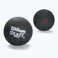 Wilson Staff Ball Red Dot squash balls 3 pcs black