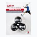 Wilson Staff Ball Red Dot squash balls 3 pcs black 2