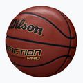 Wilson children's basketball 2