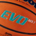 Basketball Wilson EVO NXT Champions League orange size 7 8