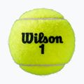 Wilson Roland Garros All Ct tennis balls 3 pcs yellow WRT126400 2