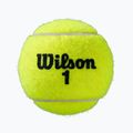 Wilson Roland Garros All CT tennis balls 4 pcs. yellow 5