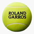 Wilson Roland Garros Jumbo 9" yellow autograph tennis ball 2