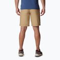 Columbia Washed Out men's trekking shorts brown 1491953243 2