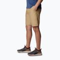 Columbia Washed Out men's trekking shorts brown 1491953243 3