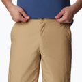 Columbia Washed Out men's trekking shorts brown 1491953243 4