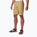 Columbia Washed Out men's trekking shorts brown 1491953243