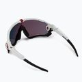 Oakley Jawbreaker polished white/prizm road cycling glasses 0OO9290 2