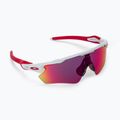 Oakley Radar EV Path polished white/prizm road cycling glasses 0OO9208