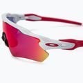 Oakley Radar EV Path polished white/prizm road cycling glasses 0OO9208 3