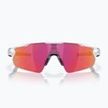 Sunglasses Oakley Radar EV Pitch polished white/prizm field 2