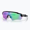 Sunglasses Oakley Radar EV Path 100 Thieves polished black/prizm golf