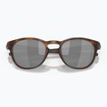 Sunglasses Oakley Latch matte brown tortoise 5
