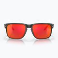 Oakley Holbrook matte black/prizm ruby sunglasses 2