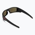 Oakley Gascan sunglasses polished black/prizm ruby 2