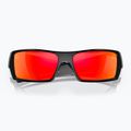 Oakley Gascan sunglasses polished black/prizm ruby 10