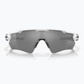 Oakley Radar EV Path polished white/prizm black polarized sunglasses 2